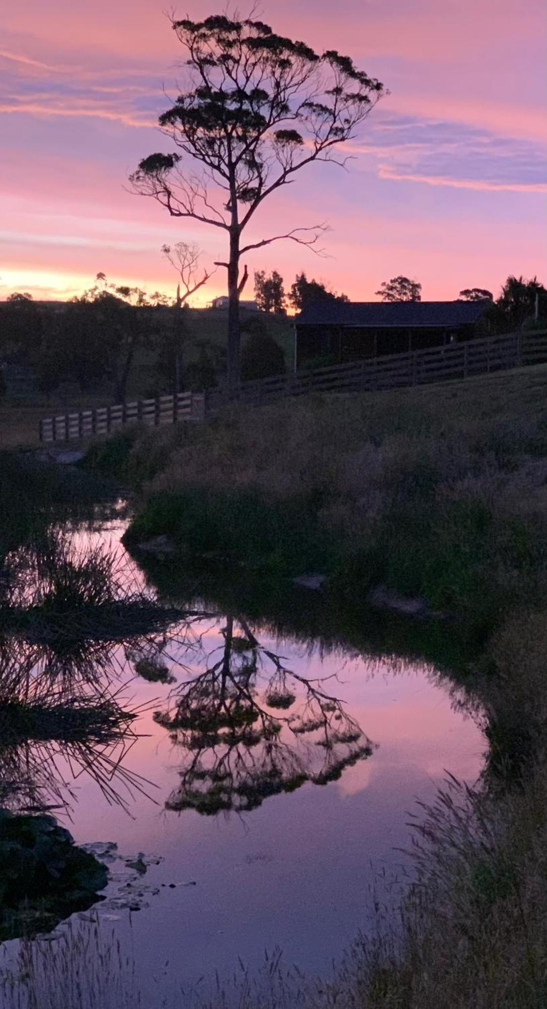 Hazelcreek Cottages Exeter エクステリア 写真