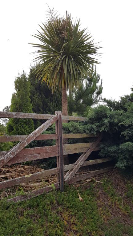 Hazelcreek Cottages Exeter エクステリア 写真